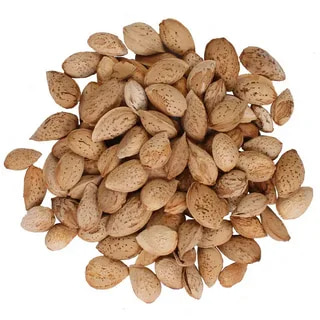 تصویر 3 از بادام درختی سنگی با پوست سخت و عمر طولانی